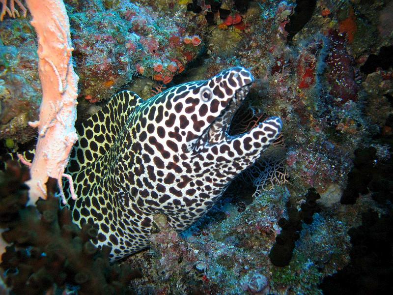 2013 02 22 Yann (10)b.jpg